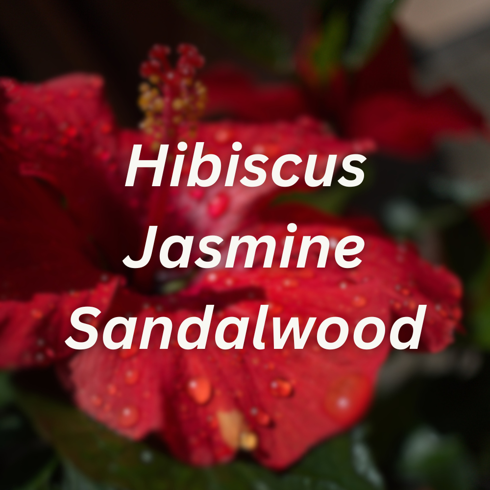 Hibiscus & Pale Amber Scented Laundry Soap