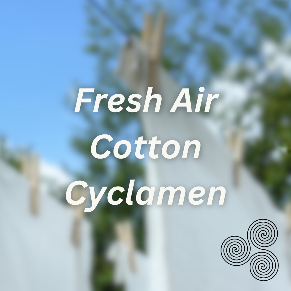 Laundry Day Scented & Softening Dryer Balls