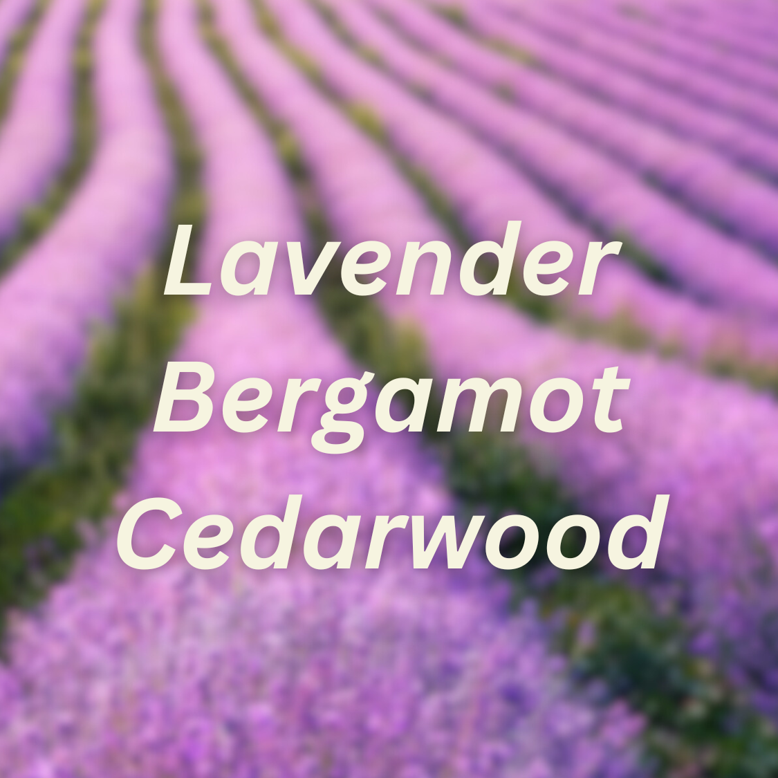 Lavender Fields Scented & Softening Dryer Balls